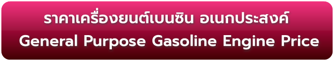 ราคาเครื่องยนต์เบนซิน อเนกประสงค์ General Purpose Gasoline Engine Price