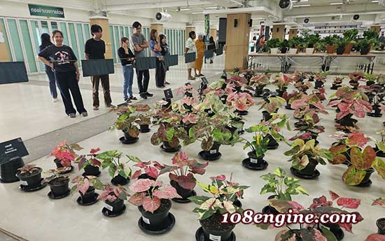 เกษตรแฟร์บางเขน 2569